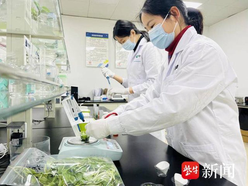 南京食品采购
